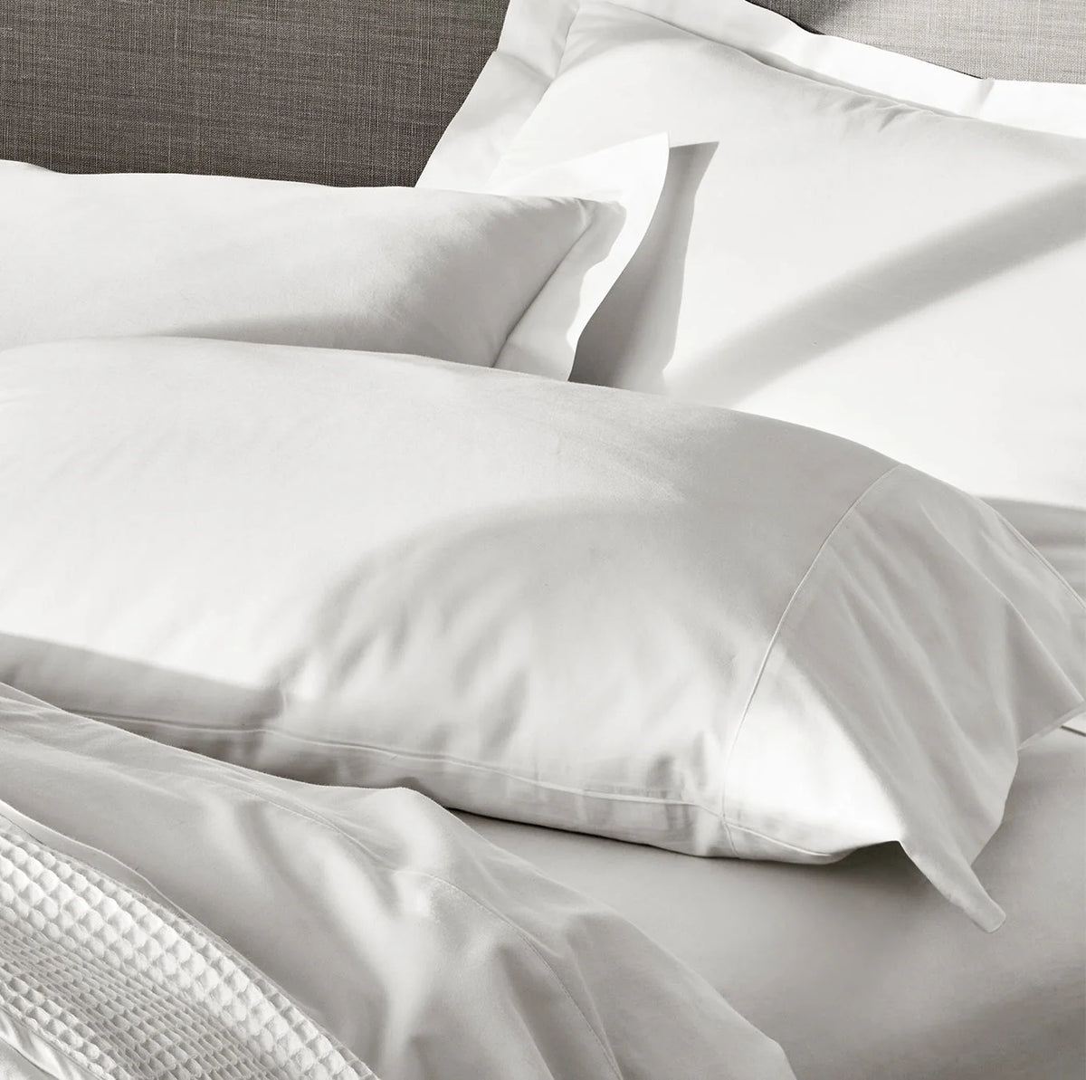 Bed Blanket & Signature Starter Bundle