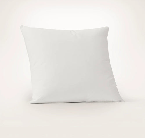 Feather Down Decorative Pillow Insert (22x22)