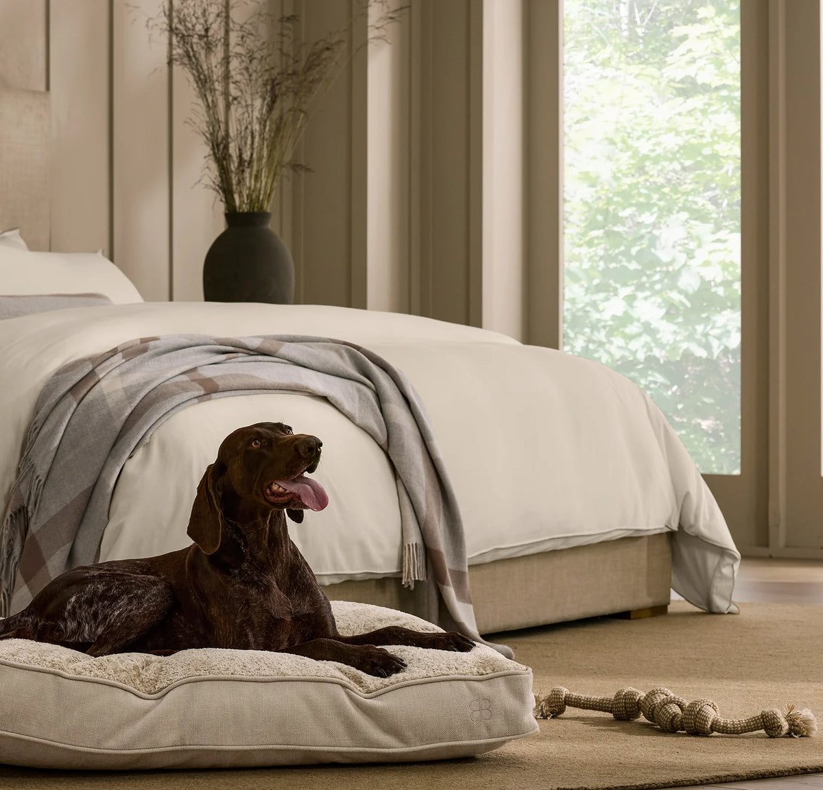 Piped Edge Pet Cushion - Biscuit