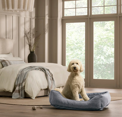 Piped Edge Pet Bed - Water