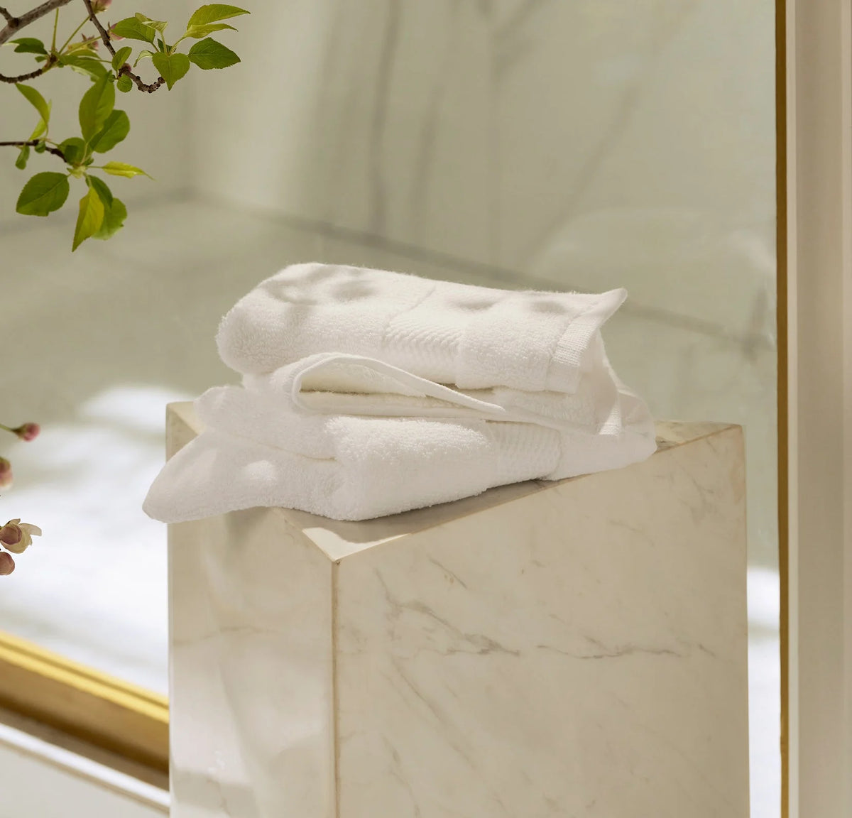 Plush Washcloths (Pair) - White