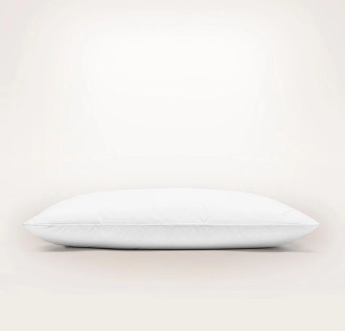 Down Chamber Pillow - Soft