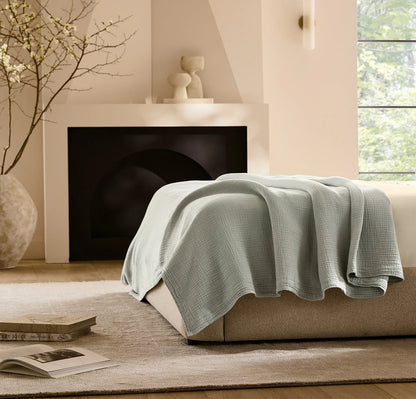 Bed Blanket & Signature Starter Bundle